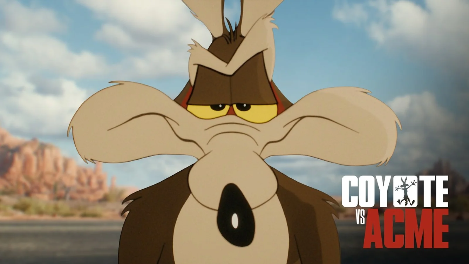 Chú sói Wile E. Coyote nhìn thẳng vào ống kính trong trailer chính thức của Coyote vs. Acme