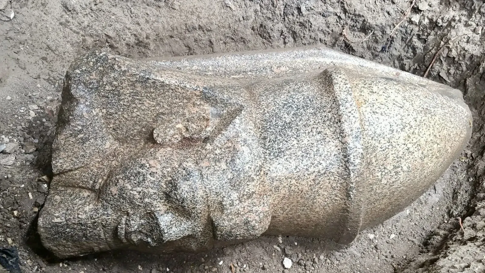 Cận cảnh đầu tượng Ramses II bằng đá granite nằm nghiêng trong lớp đất trước khi được đưa lên
